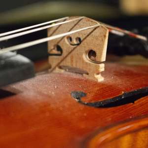 violon de l'Harmonie de Sonsay